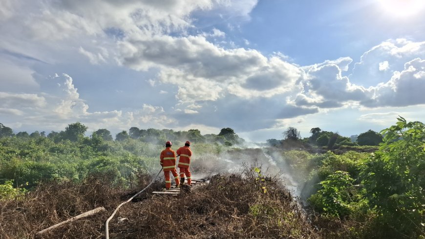 Picu Karhutla Akibat Bersihkan Lahan, BPBD Berau Jinakkan Api di Kawasan Sambaliung