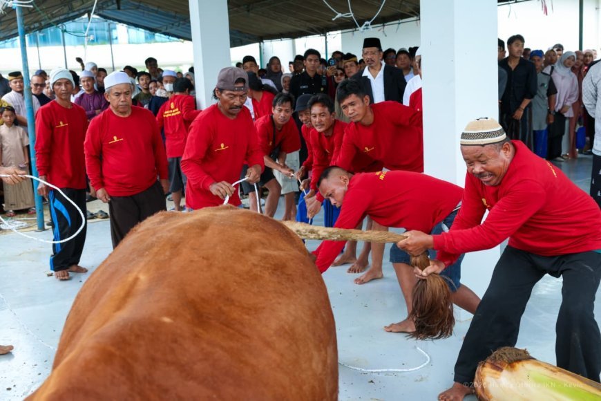 IKN Gelar Salat Iduladha Perdana di Masjid Negara, Ribuan Paket Daging Kurban Disalurkan