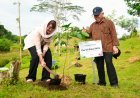 Peringati Hari Lingkungan Hidup, OIKN Tanam 1.153 Pohon