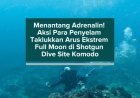 Menantang Adrenalin! Aksi Para Penyelam Taklukkan Arus Ekstrem Full Moon di Shotgun Dive Site Komodo