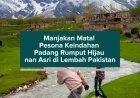 Manjakan Mata! Pesona Keindahan Padang Rumput Hijau nan Asri di Lembah Pakistan