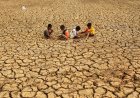BMKG Prediksi Fenomena El Nino Hingga Awal Tahun 2027