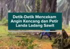 Detik-Detik Mencekam Angin Kencang dan Petir Landa Ladang Sawit