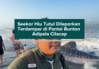 Seekor Hiu Tutul Dilaporkan Terdampar di Pantai Bunton Adipala Cilacap