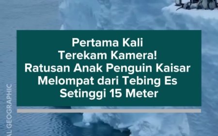 Pertama Kali Terekam Kamera! Ratusan Anak Penguin Kaisar Melompat dari Tebing Es Setinggi 15 Meter