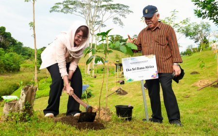 Peringati Hari Lingkungan Hidup, OIKN Tanam 1.153 Pohon