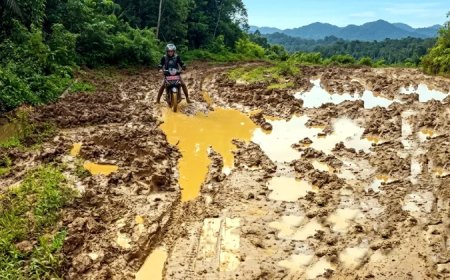 Pemkab Kubar dan Pemprov Kaltim Bagi Tugas, Perbaiki Jalan di Kecamatan Bongan