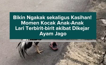 Bikin Ngakak sekaligus Kasihan! Momen Kocak Anak-Anak Lari Terbirit-birit akibat Dikejar Ayam Jago