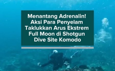 Menantang Adrenalin! Aksi Para Penyelam Taklukkan Arus Ekstrem Full Moon di Shotgun Dive Site Komodo