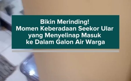 Bikin Merinding! Momen Keberadaan Seekor Ular yang Menyelinap Masuk ke Dalam Galon Air Warga