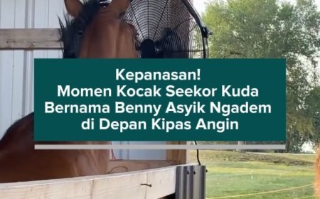 Kepanasan! Momen Kocak Seekor Kuda Bernama Benny Asyik Ngadem di Depan Kipas Angin