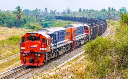 Pembangunan Jalur Rel Kereta Api Kalimantan, Bakal Dimulai dari Kaltara