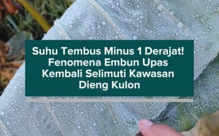 Suhu Tembus Minus 1 Derajat! Fenomena Embun Upas Kembali Selimuti Kawasan Dieng Kulon