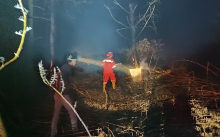 Satu Hektar Lahan Warga di Teluk Bayur Hangus Terbakar, Api Diduga Berasal dari Sisa Kebakaran Sebelumnya
