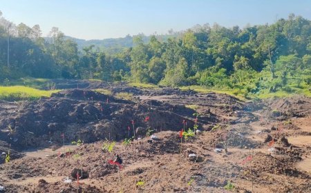 OIKN Lakukan Penghijauan di Lahan Eks Tambang Ilegal
