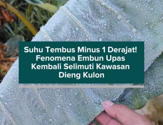Suhu Tembus Minus 1 Derajat! Fenomena Embun Upas Kembali Selimuti Kawasan Dieng Kulon