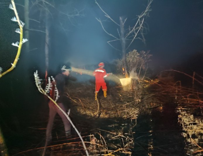 Satu Hektar Lahan Warga di Teluk Bayur Hangus Terbakar, Api Diduga Berasal dari Sisa Kebakaran Sebelumnya