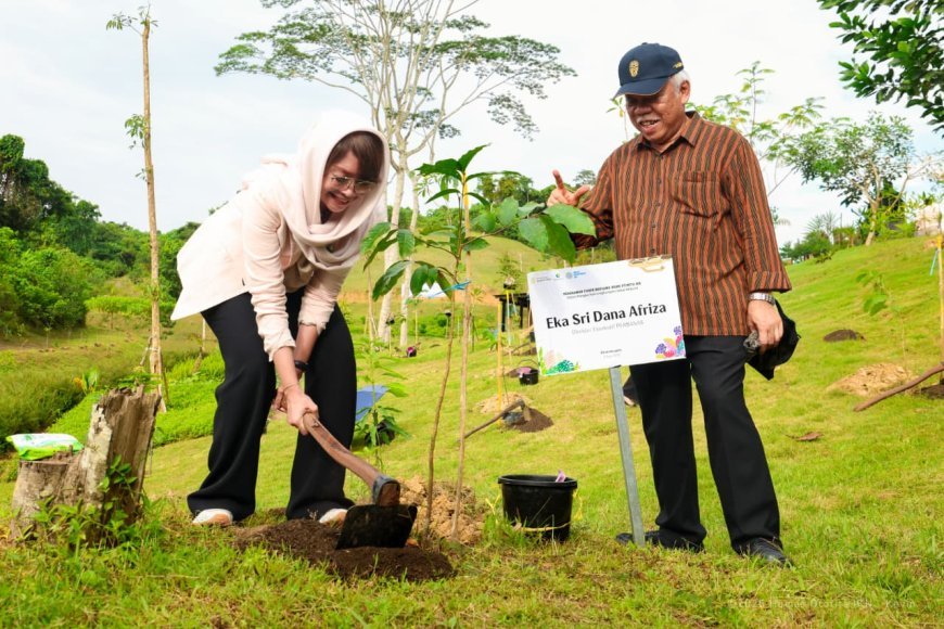 Peringati Hari Lingkungan Hidup, OIKN Tanam 1.153 Pohon