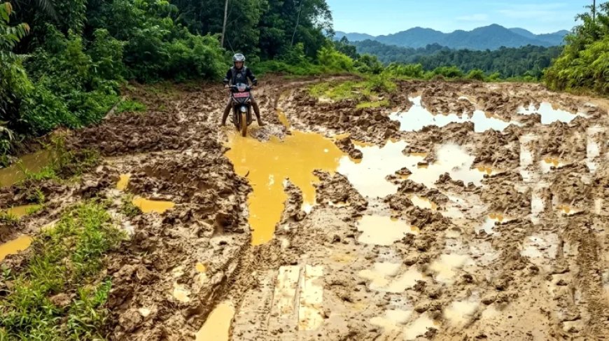 Pemkab Kubar dan Pemprov Kaltim Bagi Tugas, Perbaiki Jalan di Kecamatan Bongan