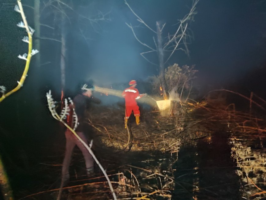Satu Hektar Lahan Warga di Teluk Bayur Hangus Terbakar, Api Diduga Berasal dari Sisa Kebakaran Sebelumnya