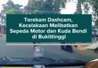 Terekam Dashcam, Kecelakaan Melibatkan Sepeda Motor dan Kuda Bendi di Bukittinggi