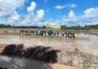 Polres Berau Gelar Penanaman Padi, Program Cetak Sawah 2026 Kembali Dimulai