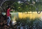 Nelayan di Maratua Berau Tewas Diterkam Buaya Saat Cari Kerang