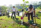 OIKN Gelar Tanam 1.200 Pohon Bersama PT ITCHI
