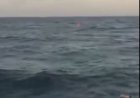Bertahan 4 Hari Terapung di Laut, 5 Korban KM Nurul Salsa Ditemukan Selamat