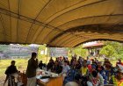 STI Gelar Sekolah Lapangan Agroforestri Kopi Liberika dan Kakao di Kabupaten Berau