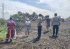 Kebakaran Lahan Seluas 1 Hektar Kembali Terjadi di Labanan Makmur, Api Berasal dari Pembakaran Sampah