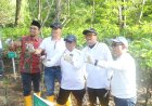 Peringati Hari Mangrove Sedunia 2026, Pemprov Kaltim Tanam 12 Ribu Bibit Pesisir di Balikpapan