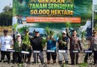 Genjot Produksi Beras, Berau Ditunjuk Mewakili Kaltim dalam Gerakan Tanam 50 Ribu Hektare