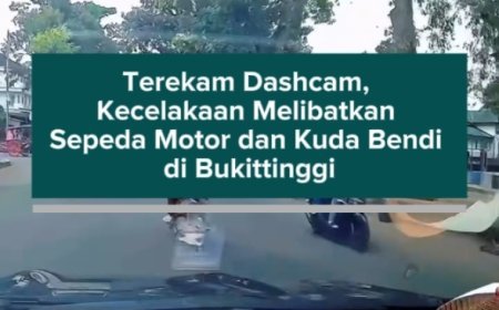 Terekam Dashcam, Kecelakaan Melibatkan Sepeda Motor dan Kuda Bendi di Bukittinggi