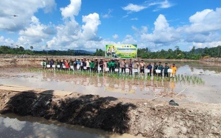 Polres Berau Gelar Penanaman Padi, Program Cetak Sawah 2026 Kembali Dimulai