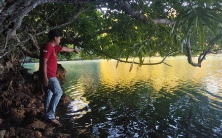 Nelayan di Maratua Berau Tewas Diterkam Buaya Saat Cari Kerang