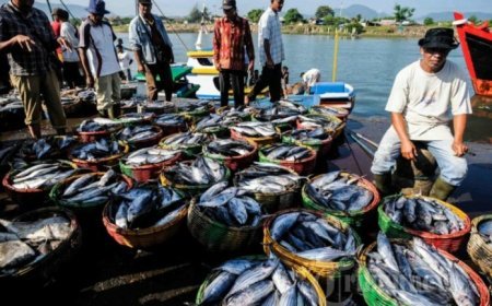 Perikanan Kaltim Dinilai Siap Topang Program Makan Bergizi Gratis