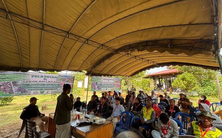 STI Gelar Sekolah Lapangan Agroforestri Kopi Liberika dan Kakao di Kabupaten Berau