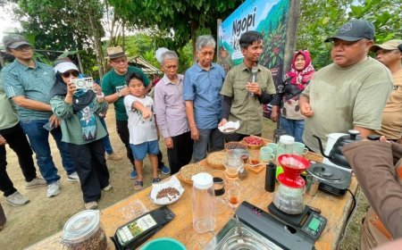 Pemkab Berau Dorong Pengembangan Kopi Liberika Jadi Komoditas Unggulan