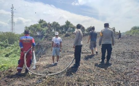 Kebakaran Lahan Seluas 1 Hektar Kembali Terjadi di Labanan Makmur, Api Berasal dari Pembakaran Sampah
