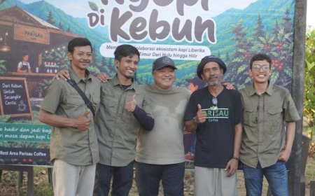 Sinergi Parisau Rest Area dan STI: Dorong Ekosistem Bisnis Kopi Liberika di Berau