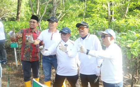 Peringati Hari Mangrove Sedunia 2026, Pemprov Kaltim Tanam 12 Ribu Bibit Pesisir di Balikpapan