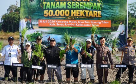 Genjot Produksi Beras, Berau Ditunjuk Mewakili Kaltim dalam Gerakan Tanam 50 Ribu Hektare