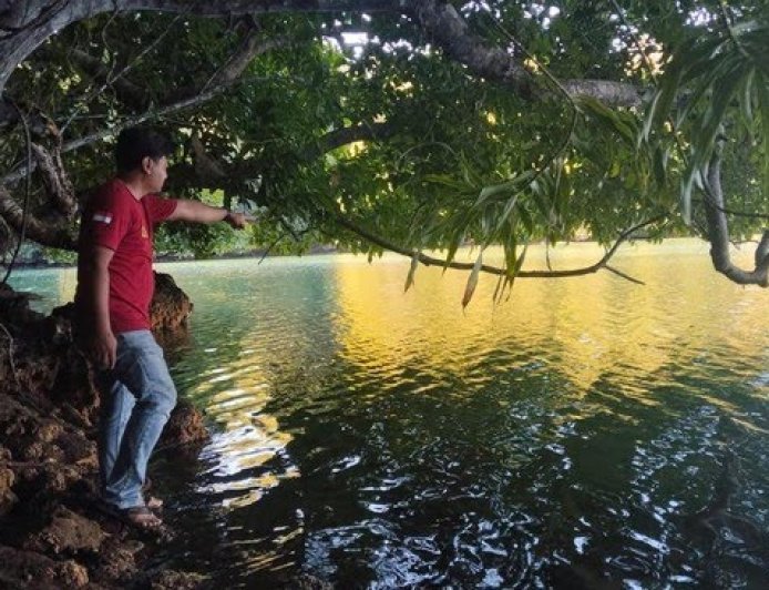 Nelayan di Maratua Berau Tewas Diterkam Buaya Saat Cari Kerang
