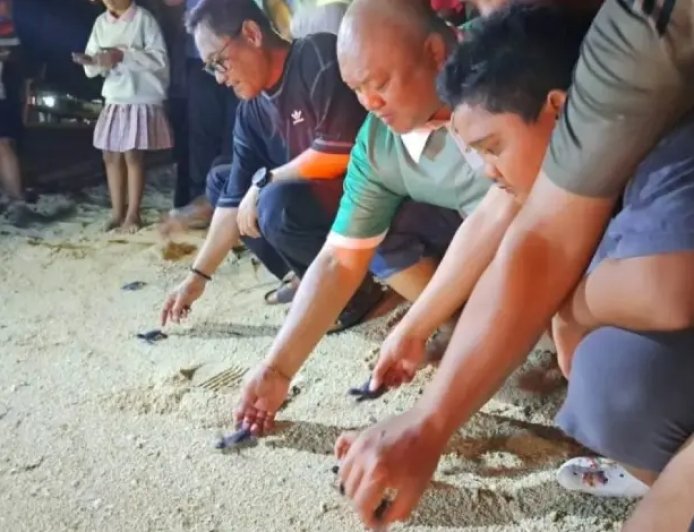 Wagub Kaltim: Konservasi Penyu Jadi Magnet Baru Wisata Kepulauan Derawan