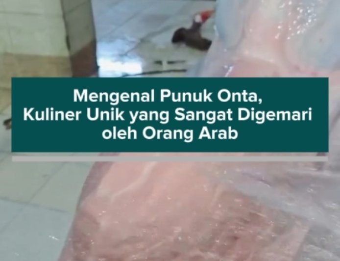 Mengenal Punuk Onta, Kuliner Unik yang Sangat Digemari oleh Orang Arab