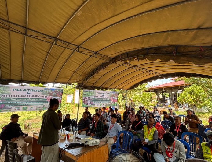 STI Gelar Sekolah Lapangan Agroforestri Kopi Liberika dan Kakao di Kabupaten Berau