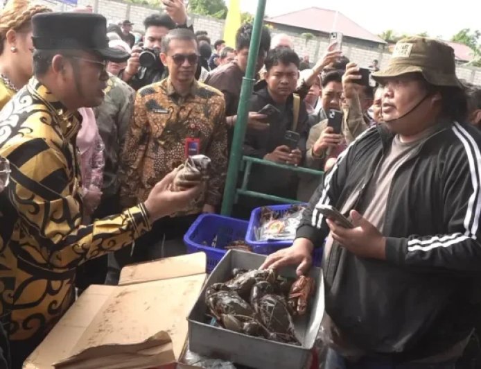 Optimalkan Potensi Daerah, Pemkab Berau Jadikan Ikan Murah Program Prioritas