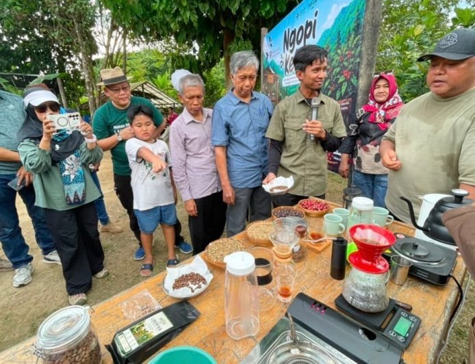 Pemkab Berau Dorong Pengembangan Kopi Liberika Jadi Komoditas Unggulan