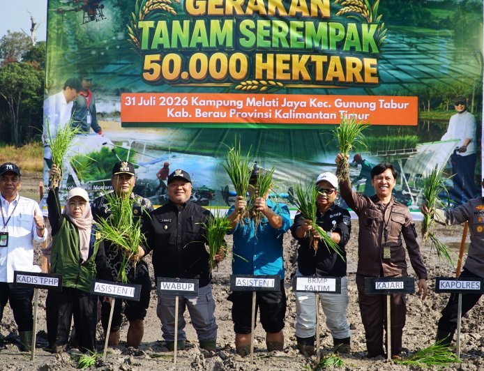 Genjot Produksi Beras, Berau Ditunjuk Mewakili Kaltim dalam Gerakan Tanam 50 Ribu Hektare